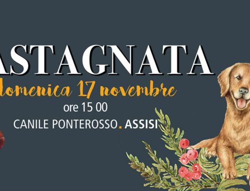 Castagnata