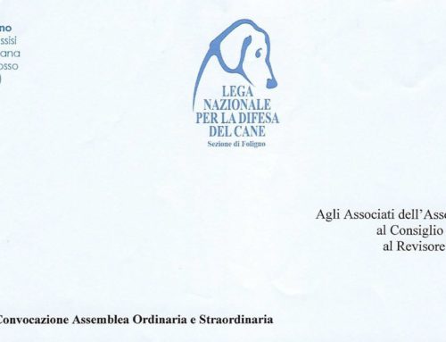 Convocazione Assemblea Ordinaria e Straordinaria