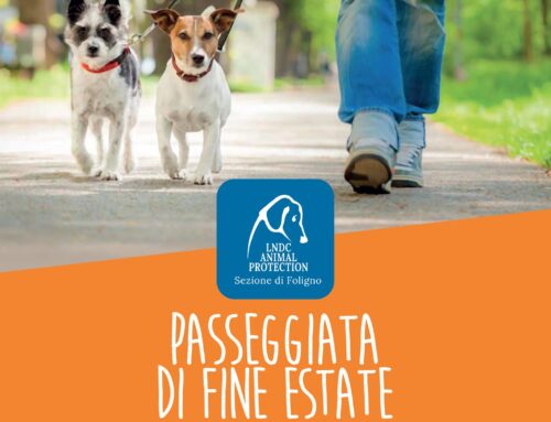 Passeggiata di fine estate